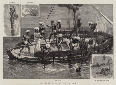 Et perlefiskeri i Ceylon af Joseph Nash